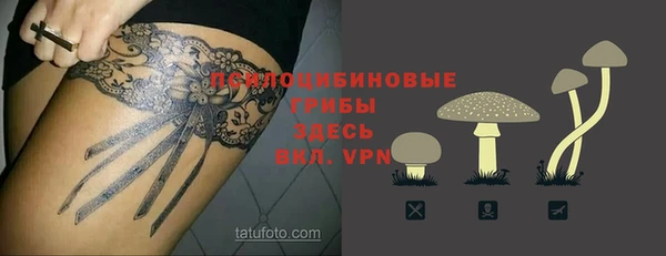 прущие грибы Алексеевка