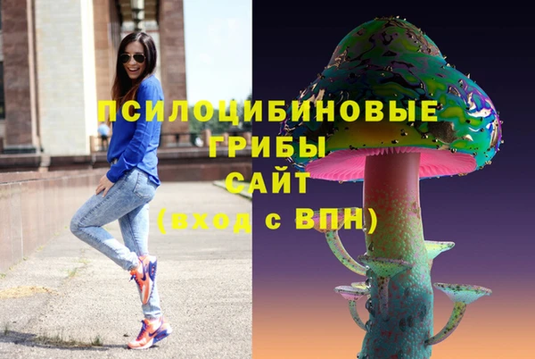 героин Алексин