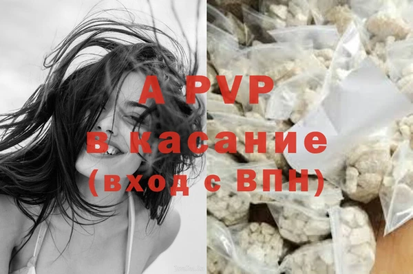прущие грибы Алексеевка